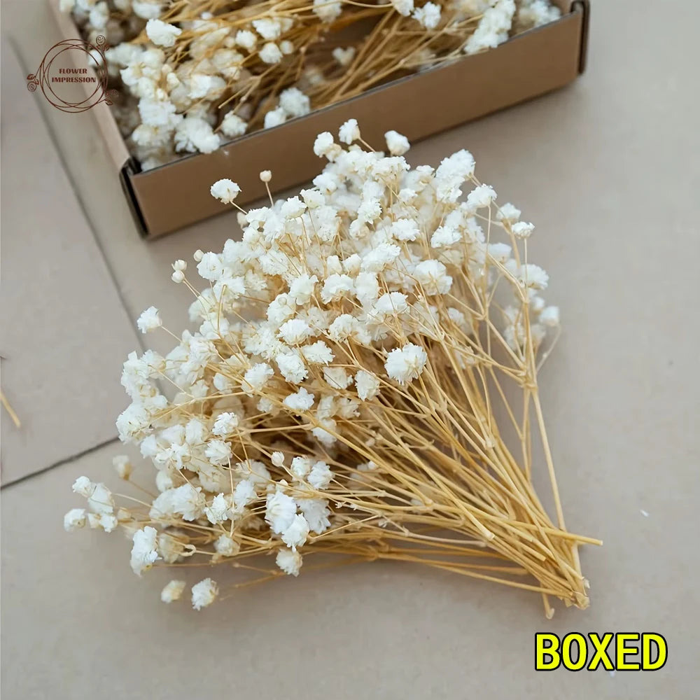 50pcs Dry Flowers Baby's Breath Bouquet Gypsophila Floral Arrangement Wedding Party Decor Vase DIY Table Pampas Grass Decoration - LUCKY COLLECTION