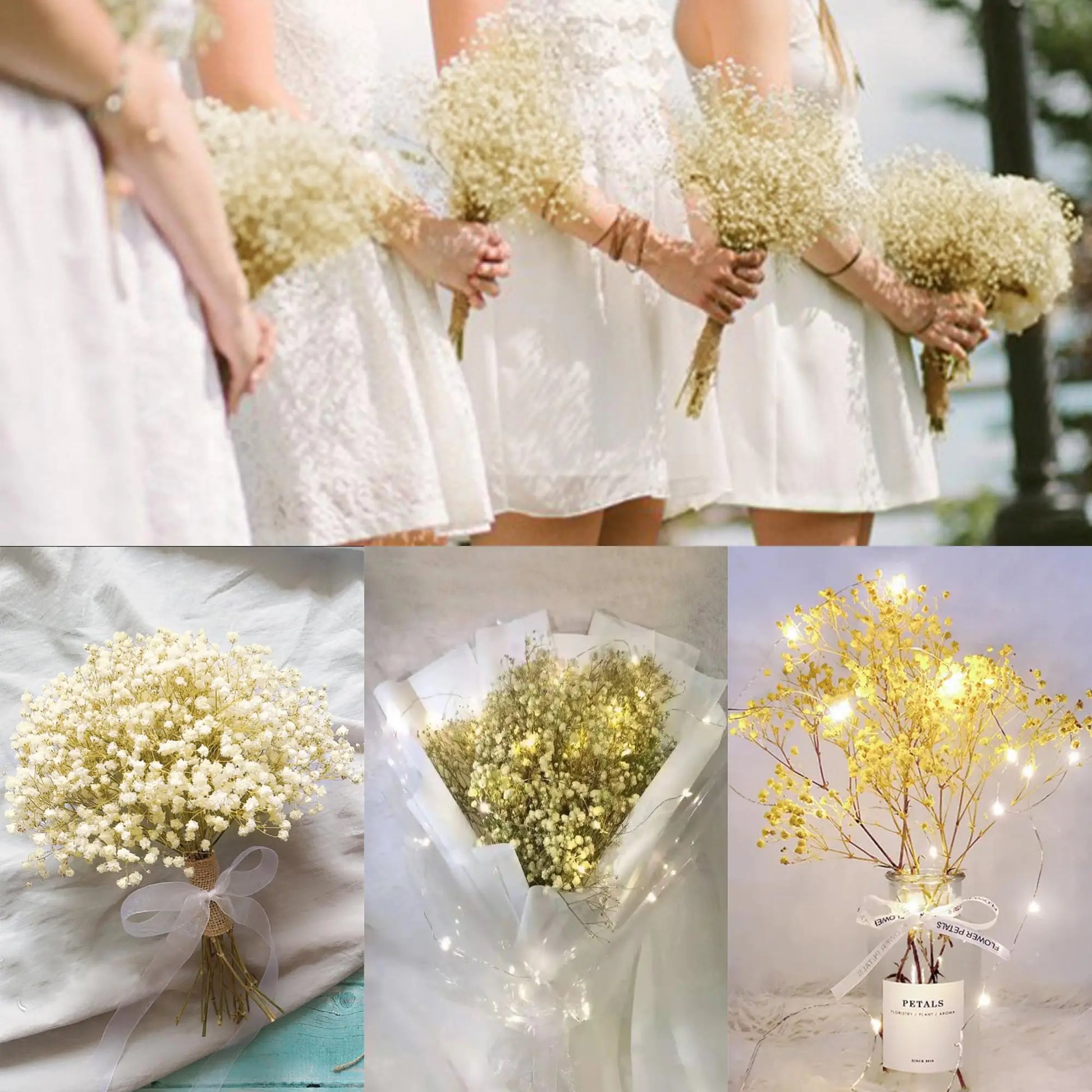 50pcs Dry Flowers Baby's Breath Bouquet Gypsophila Floral Arrangement Wedding Party Decor Vase DIY Table Pampas Grass Decoration - LUCKY COLLECTION