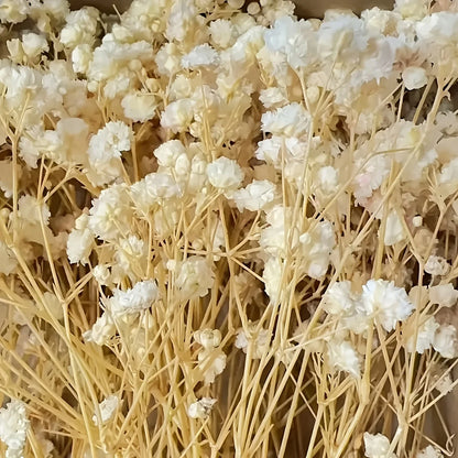 50pcs Dry Flowers Baby's Breath Bouquet Gypsophila Floral Arrangement Wedding Party Decor Vase DIY Table Pampas Grass Decoration - LUCKY COLLECTION