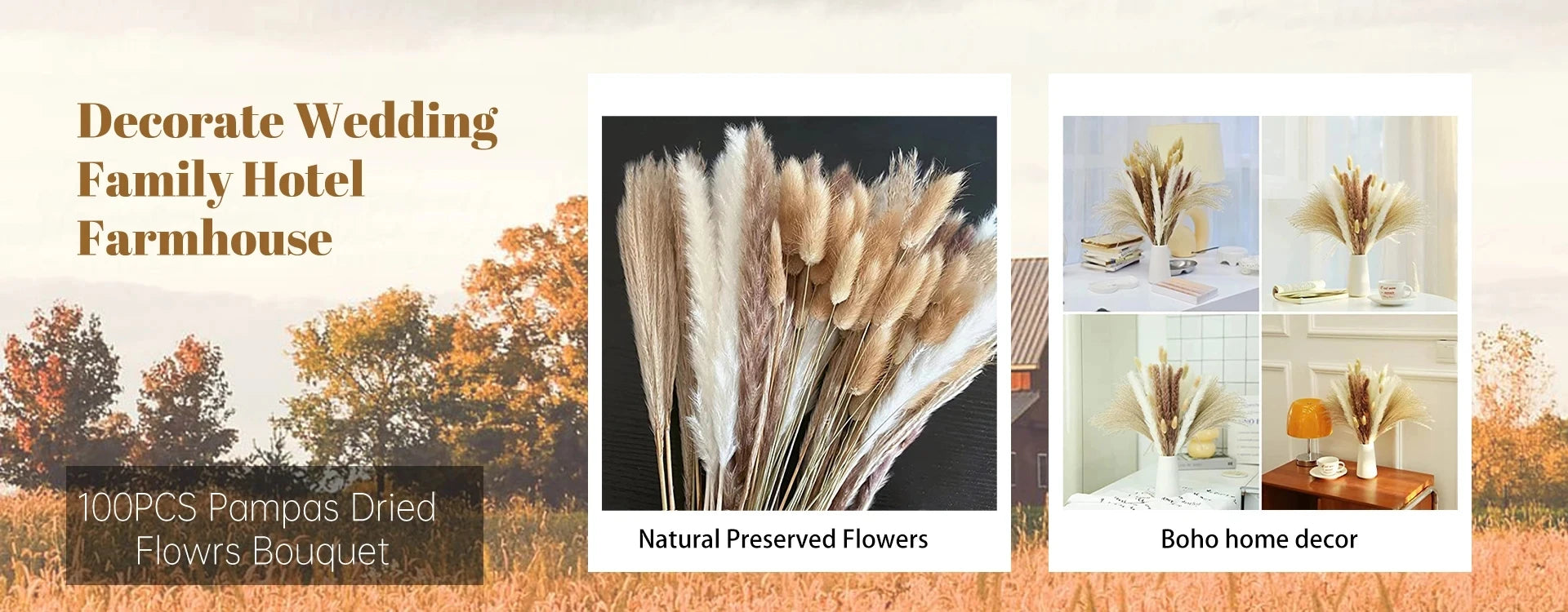 50pcs Dry Flowers Baby's Breath Bouquet Gypsophila Floral Arrangement Wedding Party Decor Vase DIY Table Pampas Grass Decoration - LUCKY COLLECTION