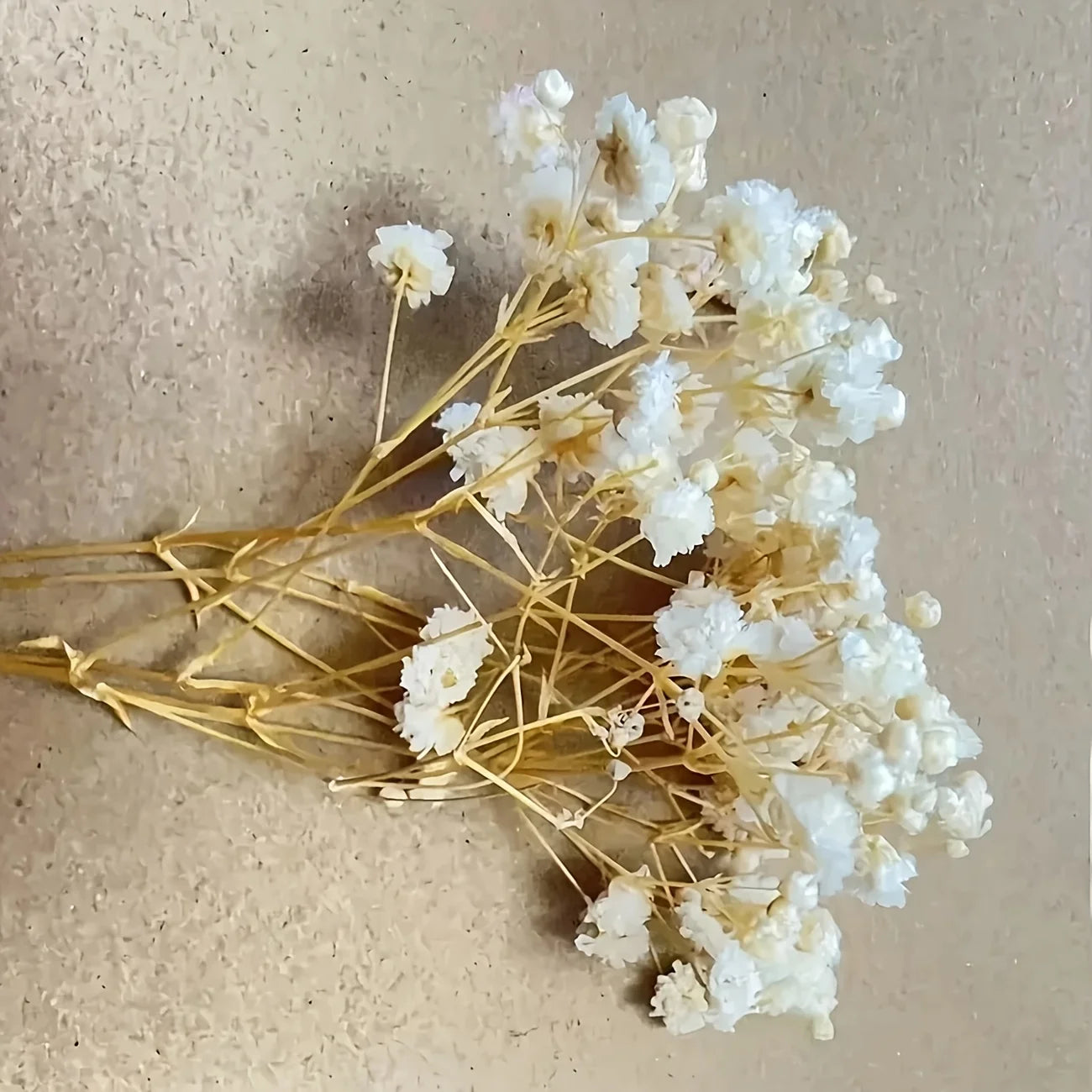 50pcs Dry Flowers Baby's Breath Bouquet Gypsophila Floral Arrangement Wedding Party Decor Vase DIY Table Pampas Grass Decoration - LUCKY COLLECTION