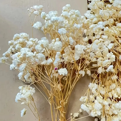 50pcs Dry Flowers Baby's Breath Bouquet Gypsophila Floral Arrangement Wedding Party Decor Vase DIY Table Pampas Grass Decoration - LUCKY COLLECTION