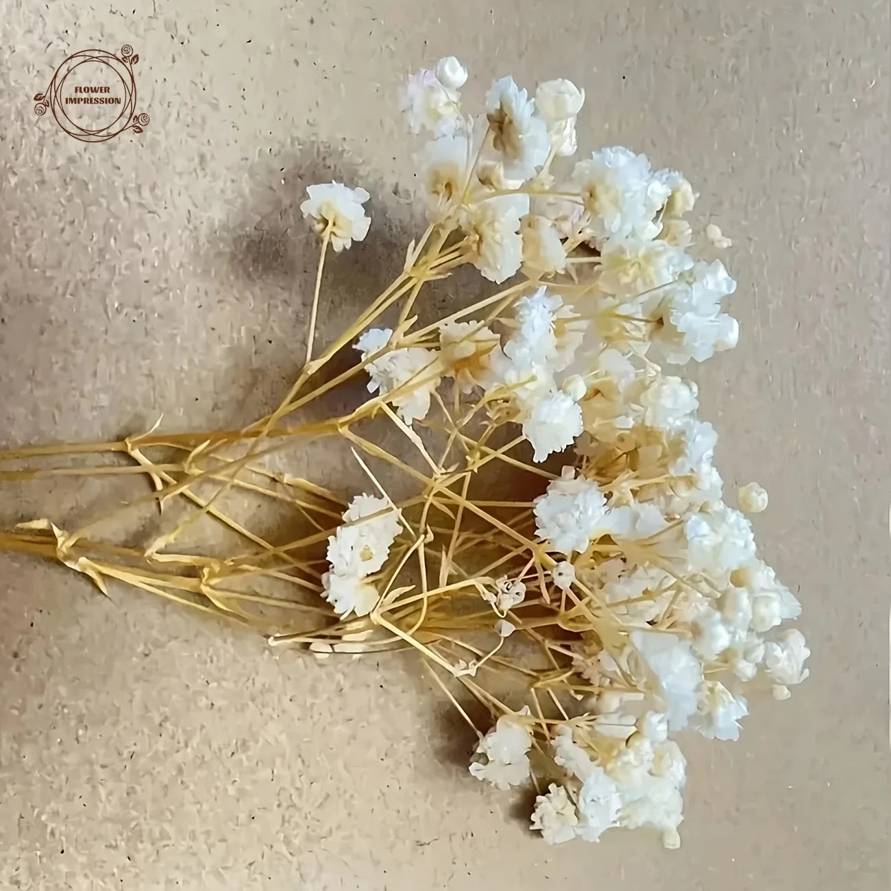 50pcs Dry Flowers Baby's Breath Bouquet Gypsophila Floral Arrangement Wedding Party Decor Vase DIY Table Pampas Grass Decoration - LUCKY COLLECTION