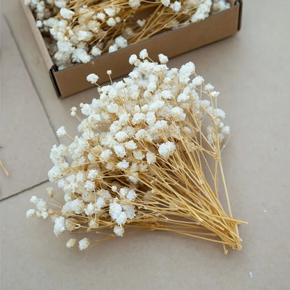 50pcs Dry Flowers Baby's Breath Bouquet Gypsophila Floral Arrangement Wedding Party Decor Vase DIY Table Pampas Grass Decoration - LUCKY COLLECTION